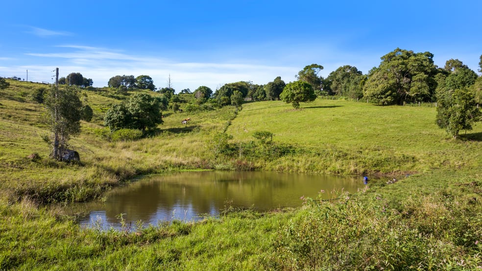 Click to view all images 335 Burgum Road North Maleny QLD 4552 - Image 3