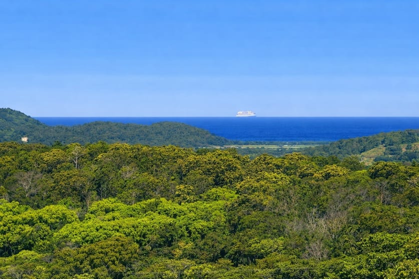 Click to view all images Dalwood NSW 2477 - Image 1