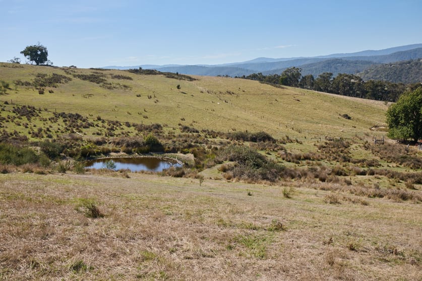 2029 Melba Highway Dixons Creek VIC 3775 - Image 3