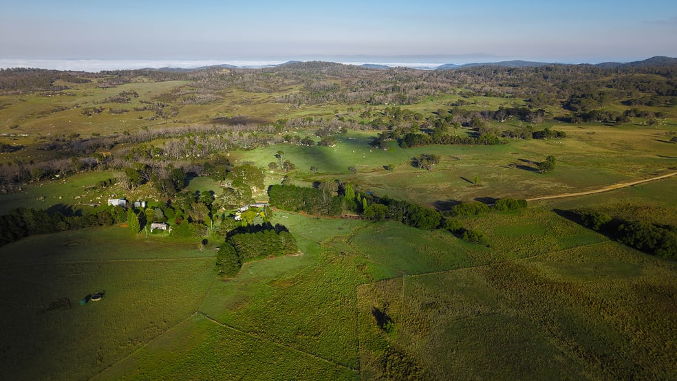 Click to view all images 3350 Peak View Road Jerangle NSW 2630 - Image 3