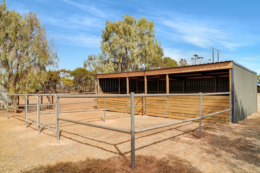 153 Water Tank Road Owen SA 5460 - Image 3