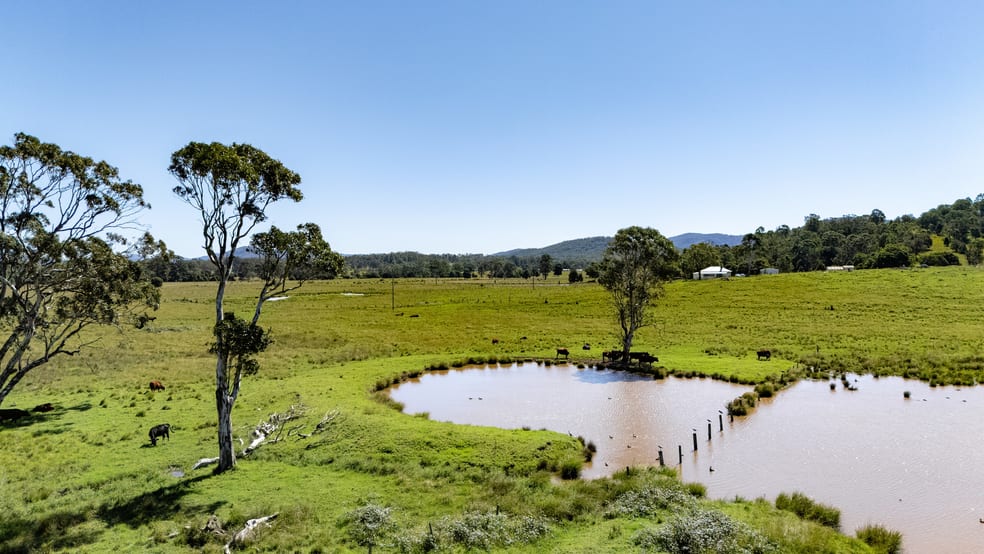 Click to view all images 107 Avery Lane Dyers Crossing NSW 2429 - Image 2