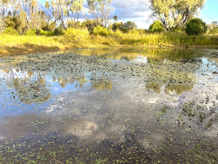 Click to view all images Lot 95/ Old Rosemount Road Kulpi QLD 4352 - Image 2