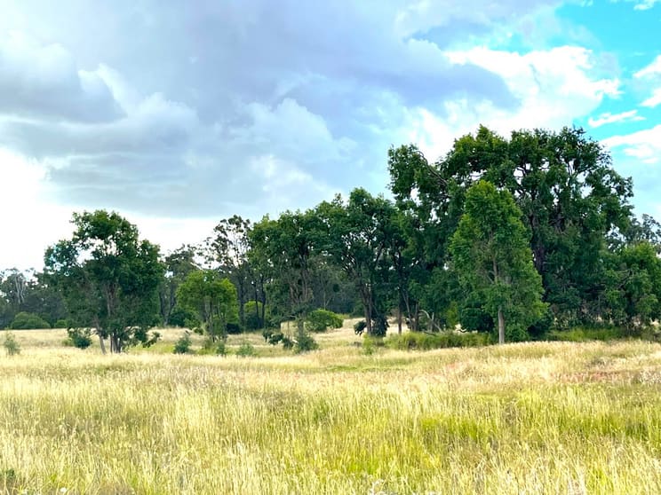 Click to view all images Lot 95/ Old Rosemount Road Kulpi QLD 4352 - Image 3