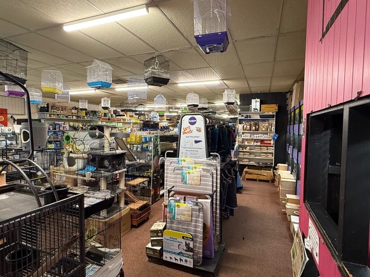 Click to view all images Animal Related business for sale in Tamworth - Image 2