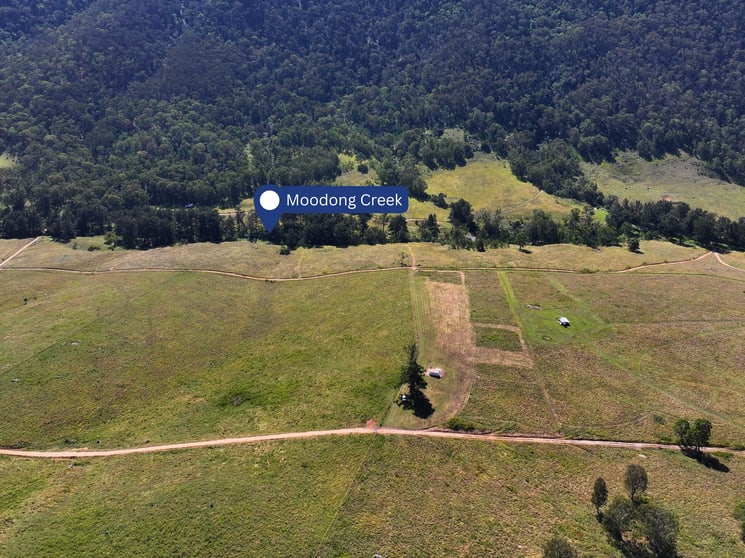 Click to view all images Lot 23 1118 Neringla Road Braidwood NSW 2622 - Image 3