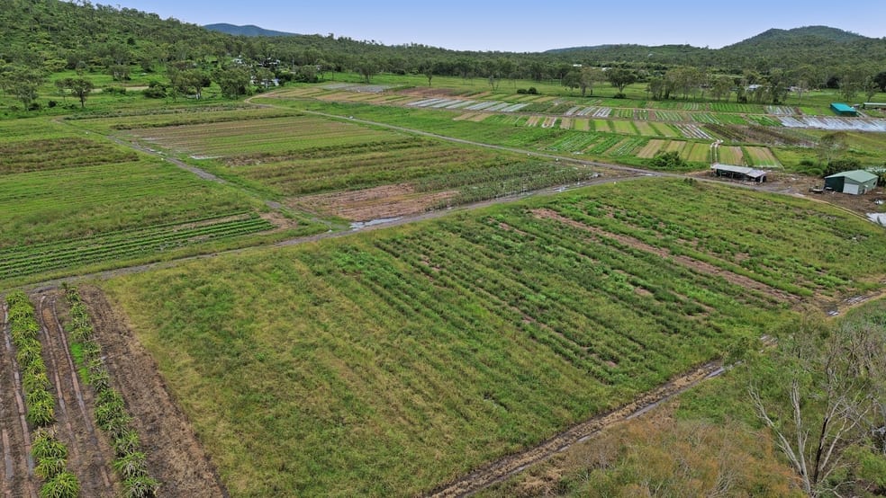 Click to view all images 1A Greta Road Oak Valley QLD 4811 - Image 1