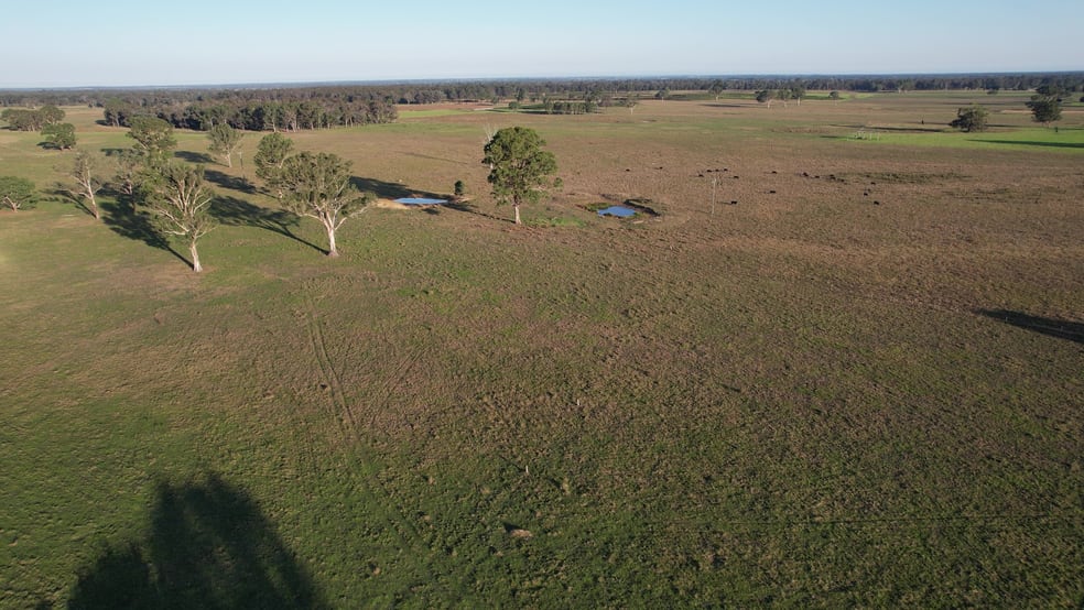 Click to view all images 670 Fernbank-Glenaladale Road Fernbank VIC 3864 - Image 3