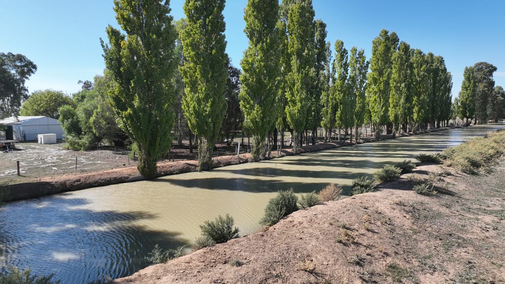 Click to view all images "Morago" 2297 Pretty Pine Road Deniliquin NSW 2710 - Image 3