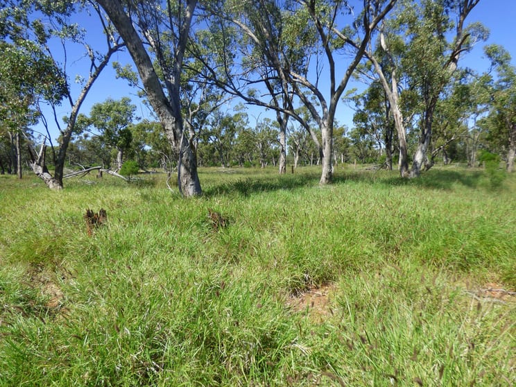 Click to view all images 4631 Middle Creek Road Langlo QLD 4470 - Image 1