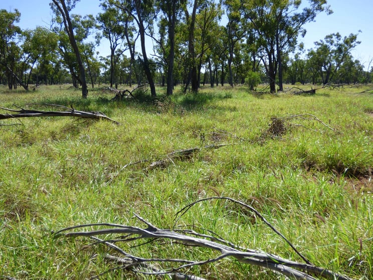 Click to view all images 4631 Middle Creek Road Langlo QLD 4470 - Image 2
