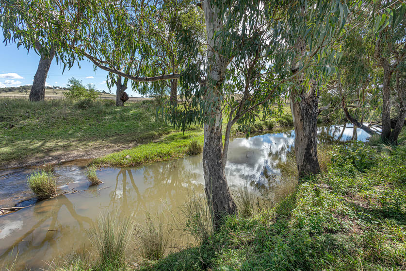 "Camden" 334 Kelvinhaugh-Yalangur Road Yalangur QLD 4352 - Image 3