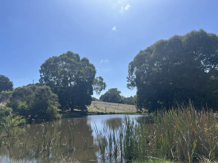 Click to view all images 274 Dingup Road Manjimup WA 6258 - Image 2