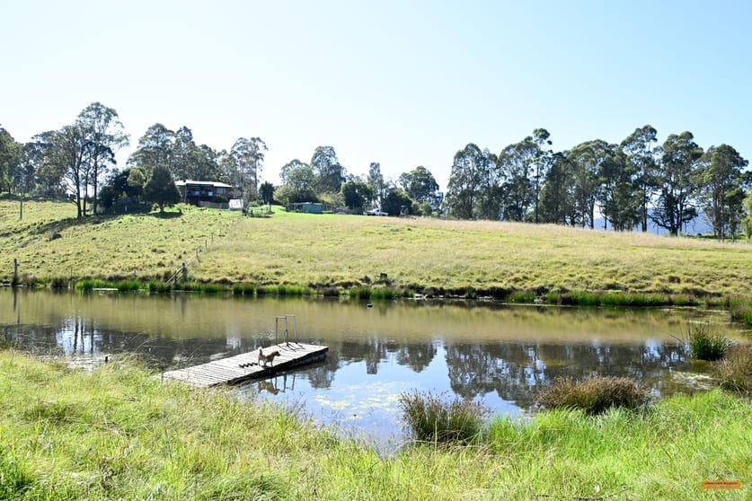 Click to view all images 281 Myrtle Mountain Road Wyndham NSW 2550 - Image 2