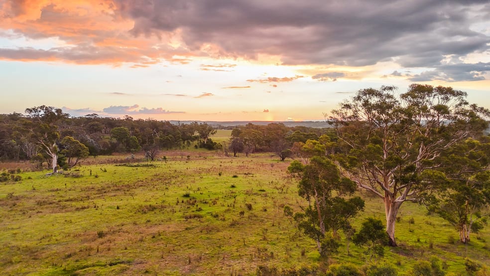Click to view all images 272 Inverary Road Paddys River NSW 2577 - Image 1