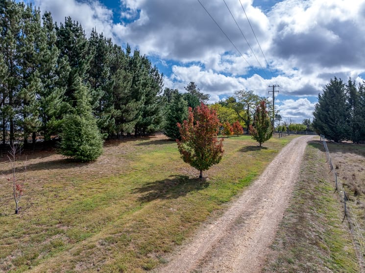 118 Woodhouselee Road Wayo NSW 2580 - Image 3