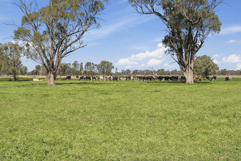 Click to view all images 2425 Lilford Road Kyabram VIC 3620 - Image 2