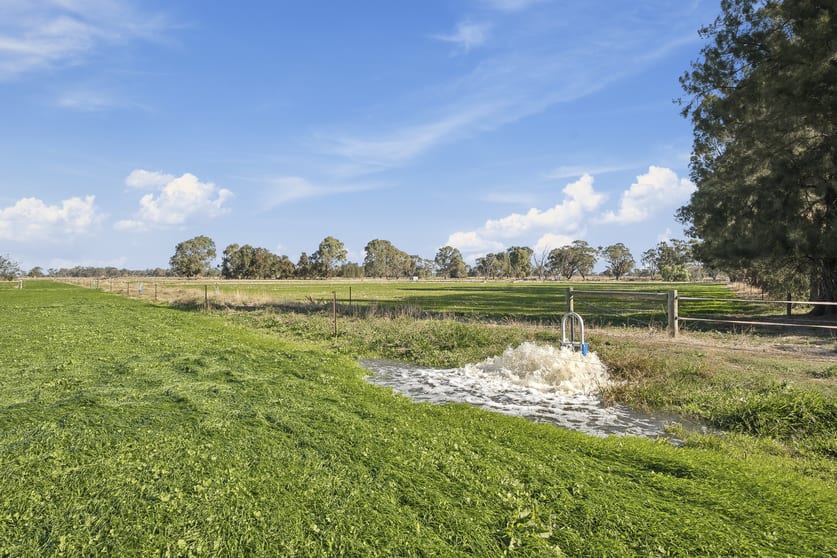 Click to view all images 2425 Lilford Road Kyabram VIC 3620 - Image 3