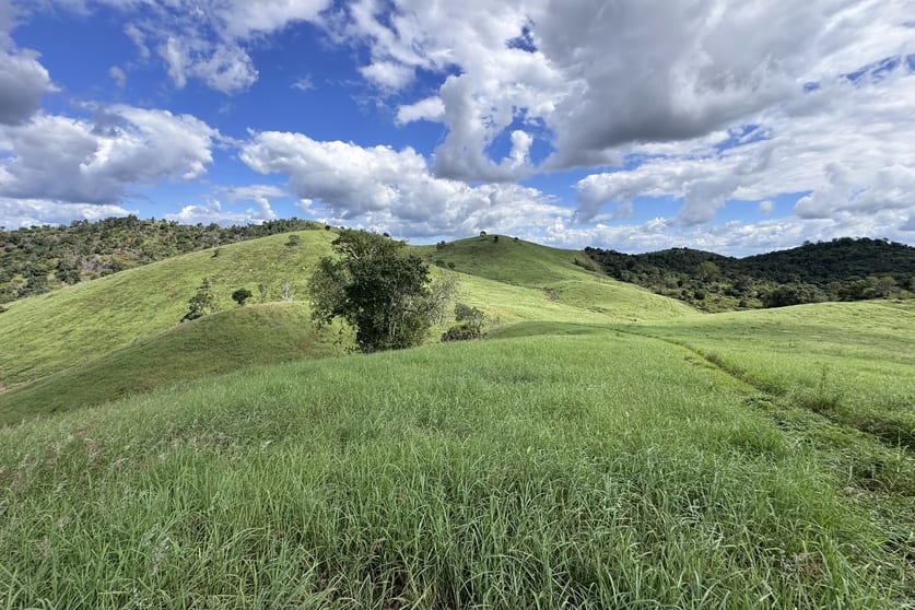 Kellys Road Bracewell QLD 4695 - Image 2