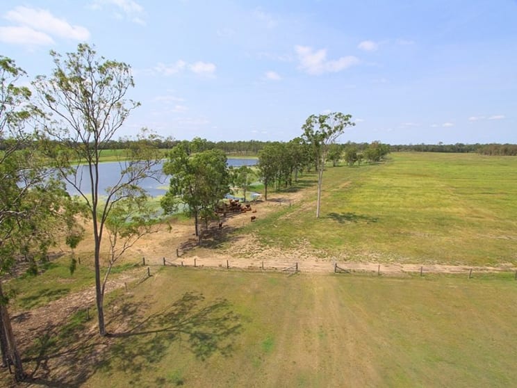 Click to view all images Bucca QLD 4670 - Image 3