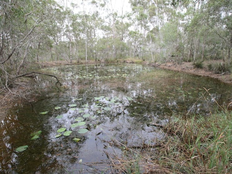Click to view all images 400 Reads Rd Avondale QLD 4670 - Image 2