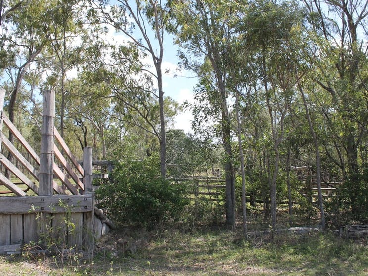 Korenan Road Colosseum QLD 4677 - Image 2