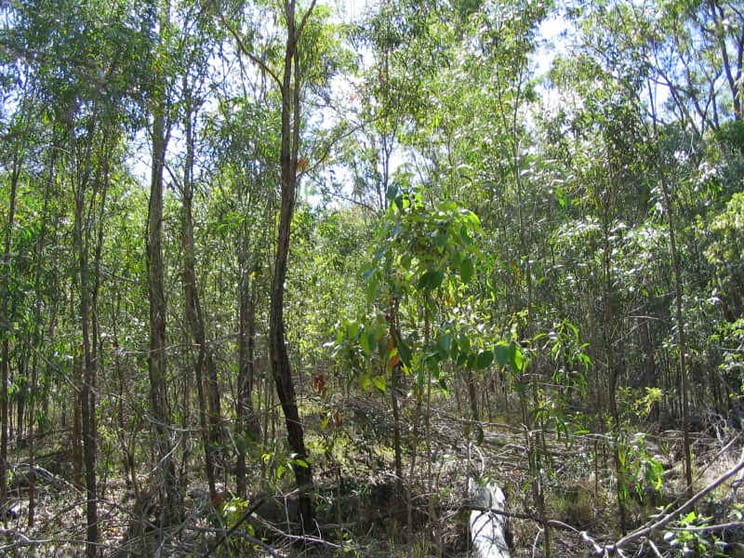Click to view all images Gin Gin QLD 4671 - Image 2