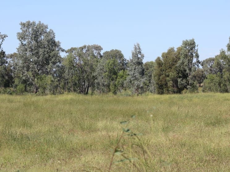444 Jambin Goovigen Road Goovigen QLD 4702 - Image 2