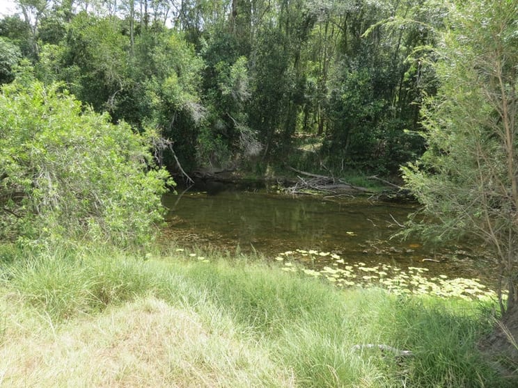Click to view all images 142 Perry River Farms Road Morganville QLD 4671 - Image 2