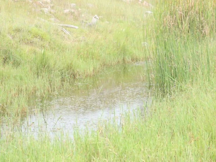 Mount Perry QLD 4671 - Image 3