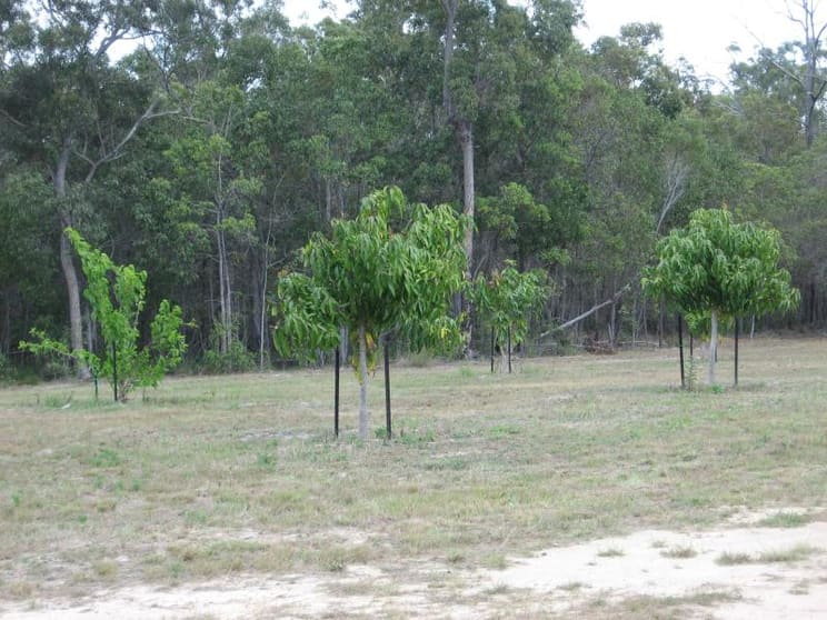 Avondale QLD 4670 - Image 2