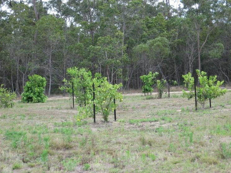 Avondale QLD 4670 - Image 3