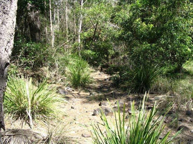 Click to view all images Gin Gin QLD 4671 - Image 3