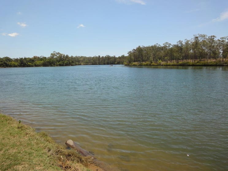 Click to view all images 1415 Ferry Road Rosedale QLD 4674 - Image 3