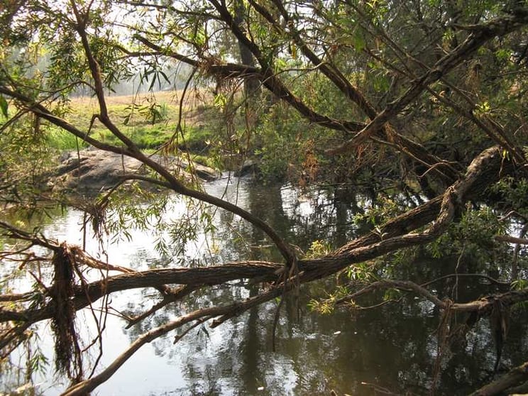 Click to view all images Mount Perry QLD 4671 - Image 2