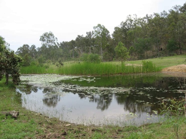 Good Night QLD 4671 - Image 2