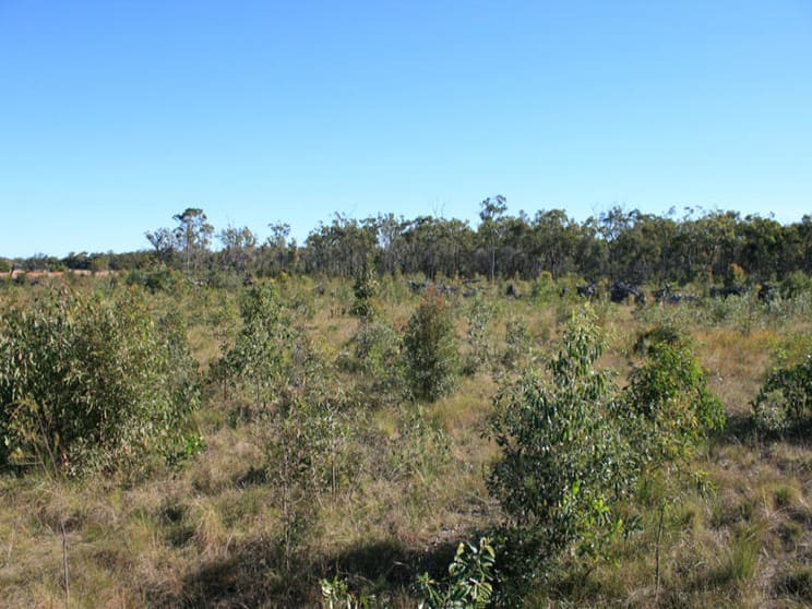 Click to view all images Goodwood Road Alloway QLD 4670 - Image 2
