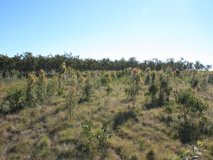 Click to view all images Goodwood Road Alloway QLD 4670 - Image 3