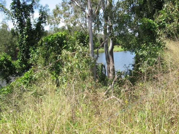 Click to view all images Avondale QLD 4670 - Image 2
