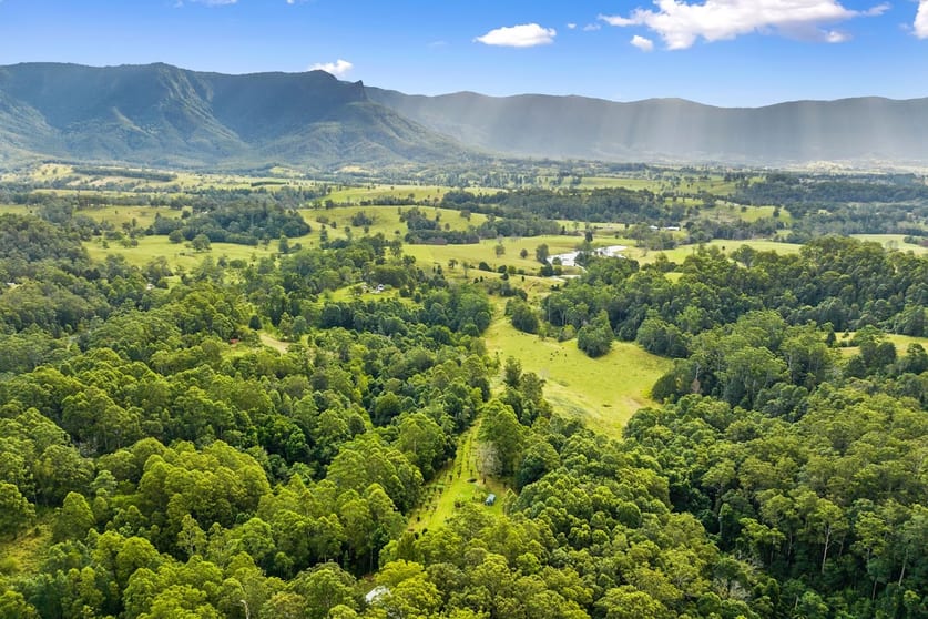 Click to view all images 19/1283 Byrrill Creek Road Brays Creek NSW 2484 - Image 3