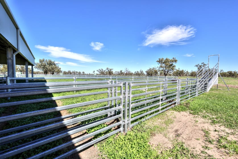 Narran Lake Road Brewarrina NSW 2839 - Image 3