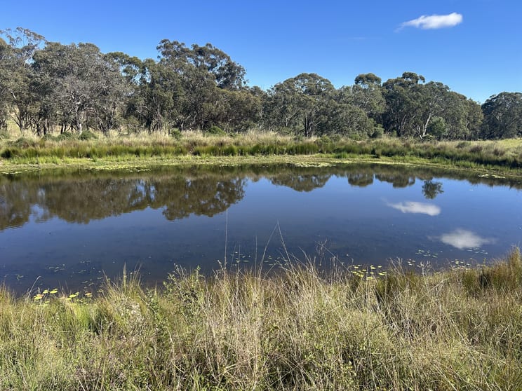 Click to view all images "Tathra" 800 Haden Crows Nest Road Bergen QLD 4353 - Image 3