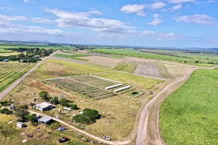 294 Mountainview Road Airville QLD 4807 - Image 1