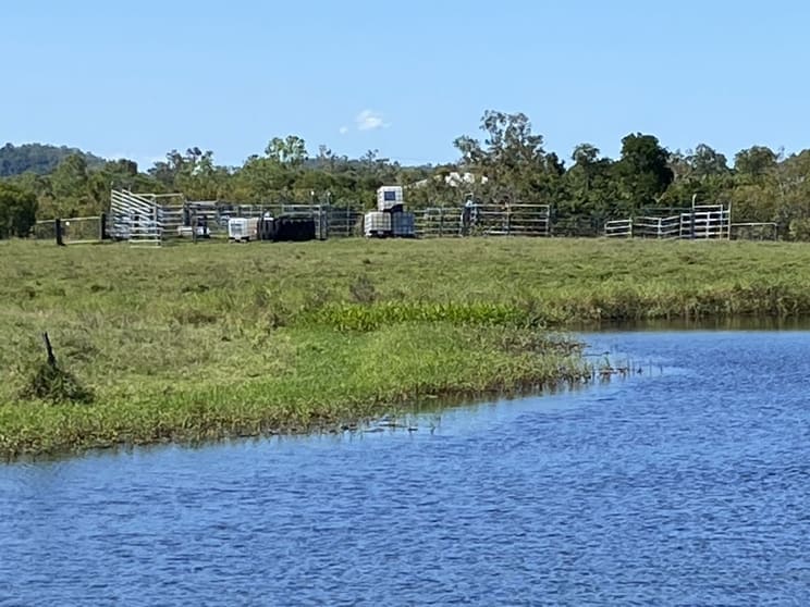 Click to view all images 104 Mount Ossa Seaforth Road Mount Ossa QLD 4741 - Image 1