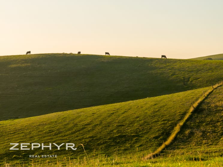 92 Trigwell Road Upper Capel WA 6239 - Image 3