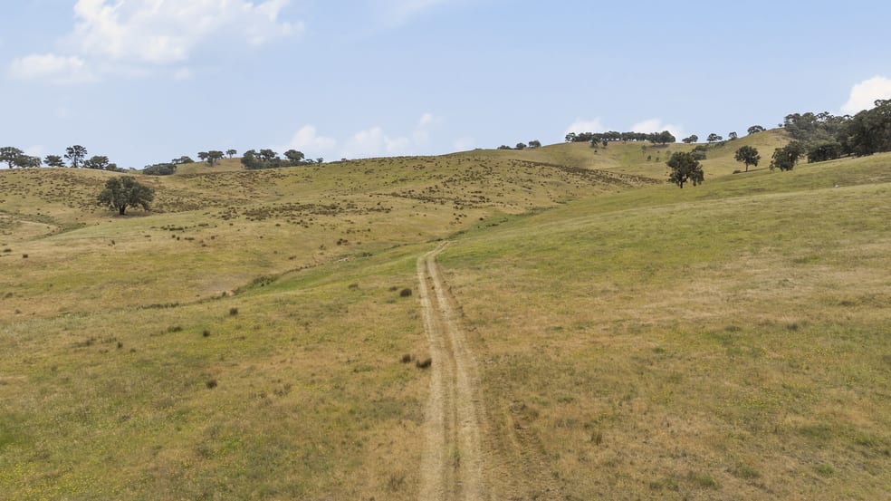 Click to view all images 600 Seymour-Pyalong Road Hilldene VIC 3660 - Image 2