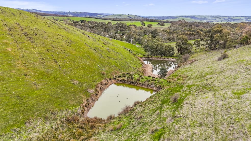 Lot 103 Wattle Flat Road Ashbourne SA 5157 - Image 3