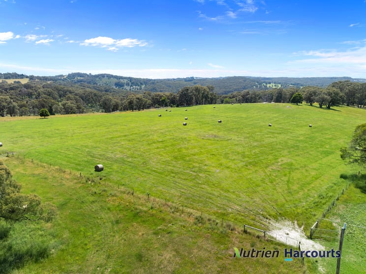 241 Chisholms Road Highlands VIC 3660 - Image 1