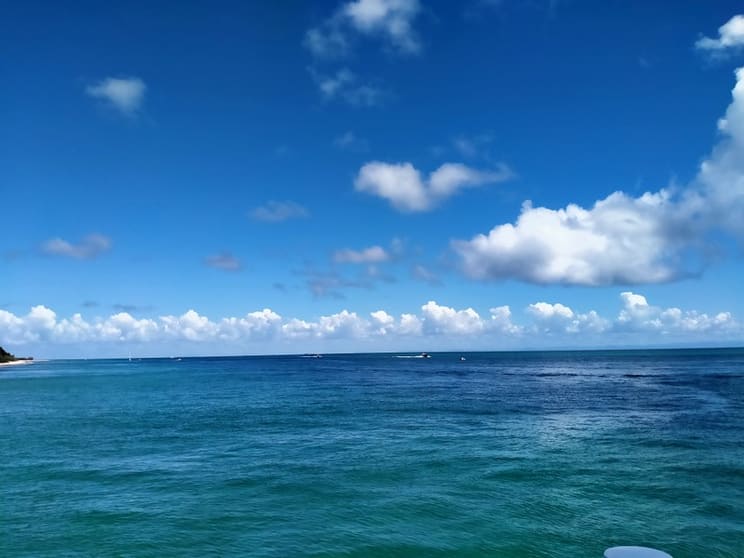 Click to view all images Management Rights business for sale in Surfers Paradise - Image 3