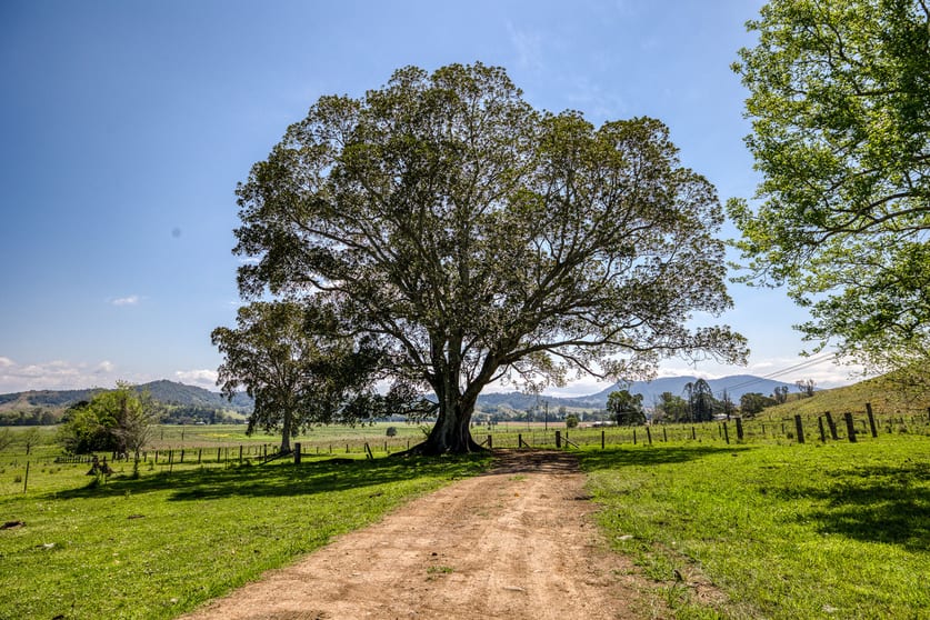 Click to view all images 376 Fawcett Plains Road Fawcetts Plain NSW 2474 - Image 3
